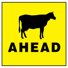 Cattle Ahead (Cattle Picto + Ahead Text), 600 x 600, Metal