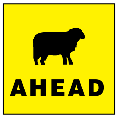 Sheep Ahead (Sheep Picto + Ahead Text), 600 x 600mm Metal