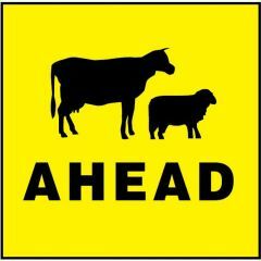 Stock Ahead Sign (Sheep & Cattle Picto + Ahead Text) Sign