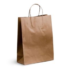Brown Kraft Paper Bags _ Twisted Paper Handles_ Small _350 x 260 