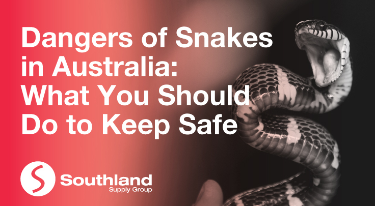 Dangers of Snakes in Australia
